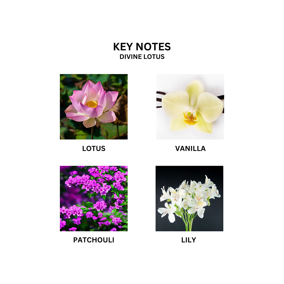 Mini Divine Lotus Concrete Candle